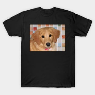 Adorable Golden Retriever Puppy T-Shirt